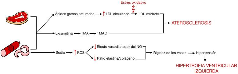 https://cdn.ncbi.nlm.nih.gov/pmc/blobs/be70/8220415/eaefd866e1db/gr1.jpg