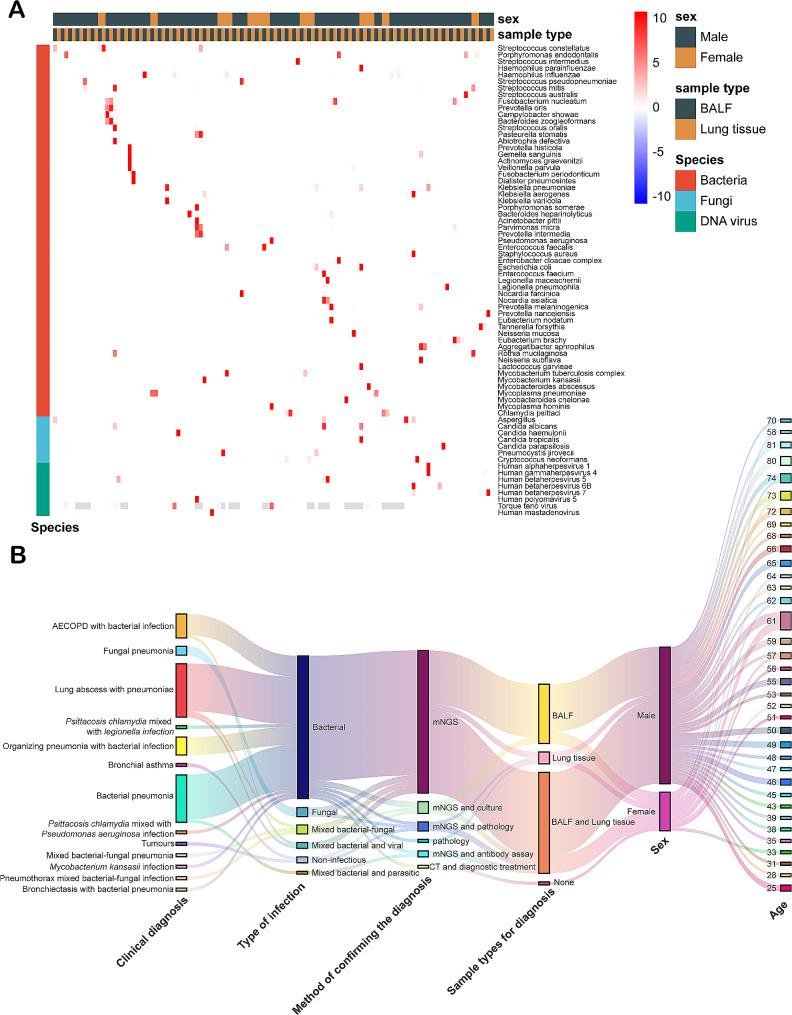 https://cdn.ncbi.nlm.nih.gov/pmc/blobs/be71/11191188/d847eb4dbbe6/12931_2024_2887_Fig2_HTML.jpg