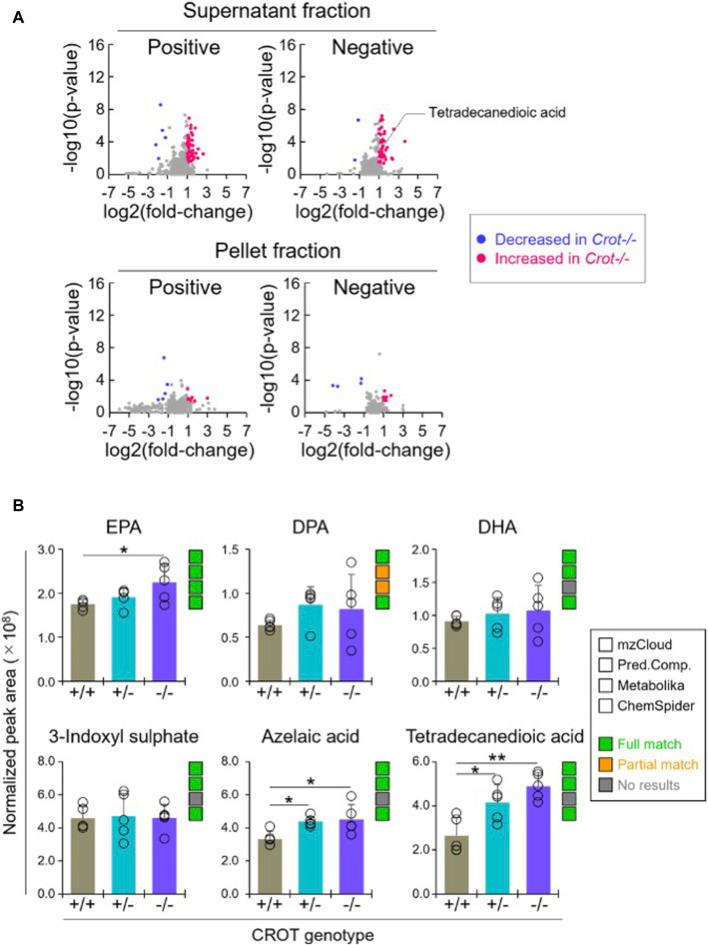 https://cdn.ncbi.nlm.nih.gov/pmc/blobs/be71/11284101/6e5bd4b5e0b5/fmolb-11-1374316-g004.jpg