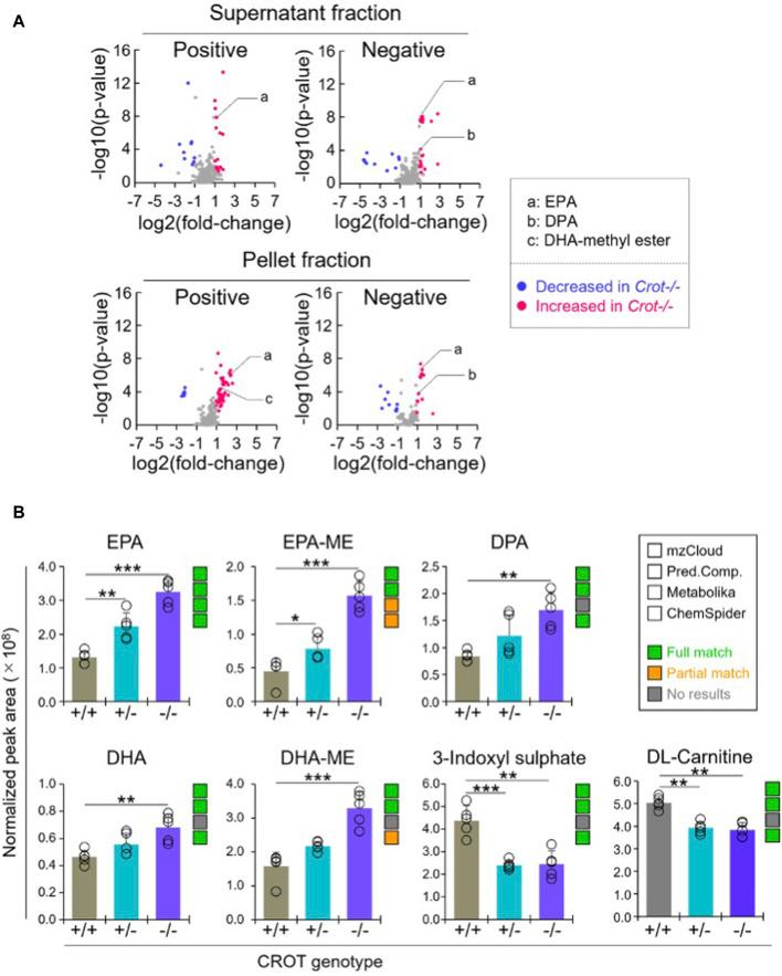 https://cdn.ncbi.nlm.nih.gov/pmc/blobs/be71/11284101/a83c7f74f4f2/fmolb-11-1374316-g003.jpg