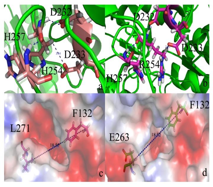 https://cdn.ncbi.nlm.nih.gov/pmc/blobs/be72/6269825/6c5635485d2e/molecules-18-15501-g003.jpg