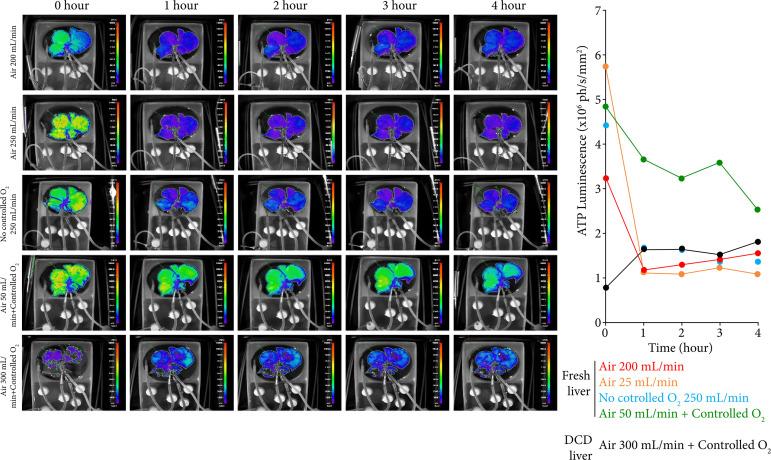 https://cdn.ncbi.nlm.nih.gov/pmc/blobs/be73/10664844/613eb2cf8eab/1678-2674-acb-38-e387723-gf06.jpg