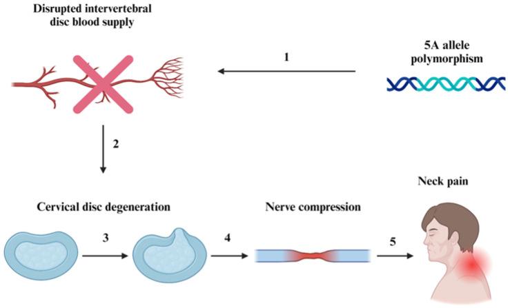 https://cdn.ncbi.nlm.nih.gov/pmc/blobs/be73/11205077/3039b142debe/life-14-00651-g001.jpg