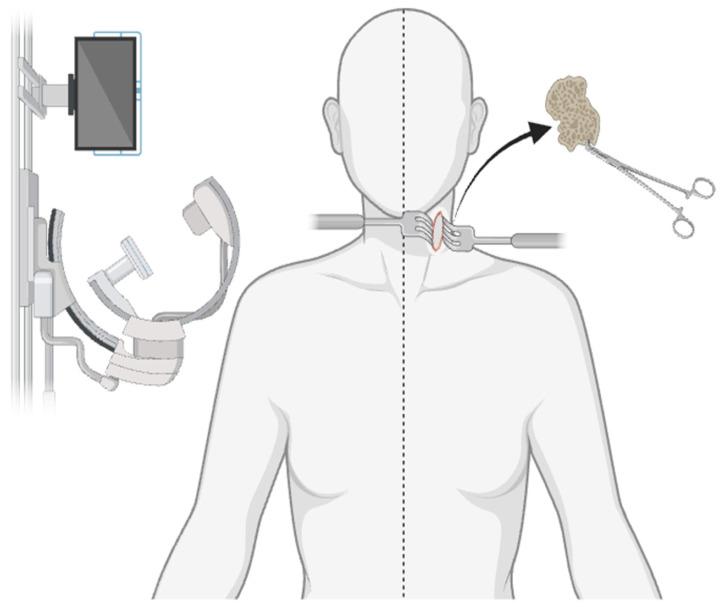 https://cdn.ncbi.nlm.nih.gov/pmc/blobs/be73/11205077/99c0d4d557fb/life-14-00651-g003.jpg