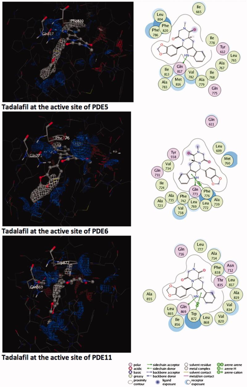 https://cdn.ncbi.nlm.nih.gov/pmc/blobs/be73/6009860/69728c24d817/IENZ_A_1250756_F0001_C.jpg