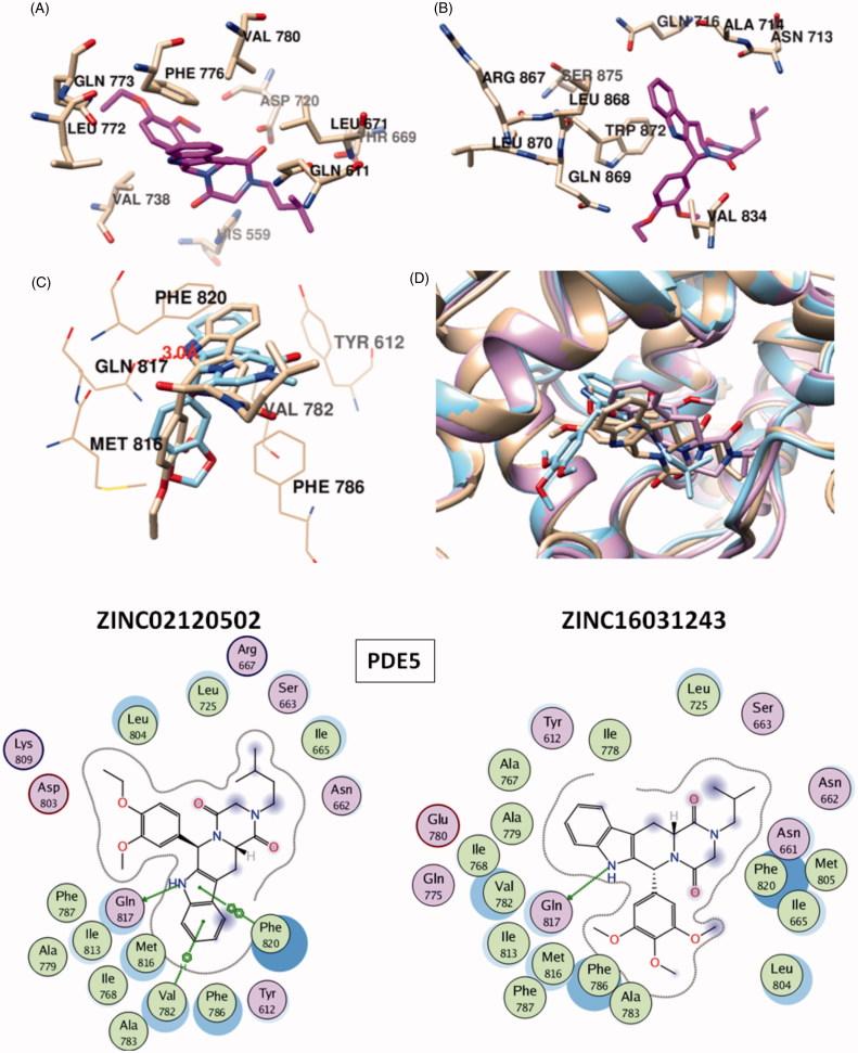 https://cdn.ncbi.nlm.nih.gov/pmc/blobs/be73/6009860/6f32f049c297/IENZ_A_1250756_F0005a_C.jpg