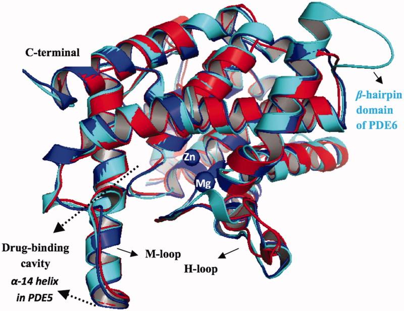 https://cdn.ncbi.nlm.nih.gov/pmc/blobs/be73/6009860/8b0d9a0b2ecf/IENZ_A_1250756_F0003_C.jpg
