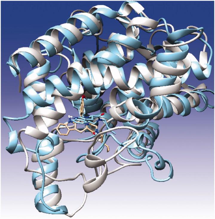 https://cdn.ncbi.nlm.nih.gov/pmc/blobs/be73/6009860/b9116abc77f7/IENZ_A_1250756_F0010_C.jpg