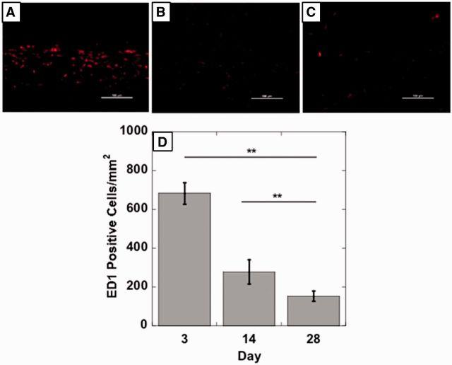 https://cdn.ncbi.nlm.nih.gov/pmc/blobs/be74/4669011/d8484b130708/rbv009f10p.jpg