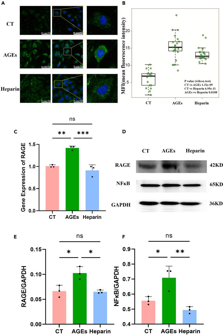 https://cdn.ncbi.nlm.nih.gov/pmc/blobs/be76/11530820/023c60194f69/gr3.jpg