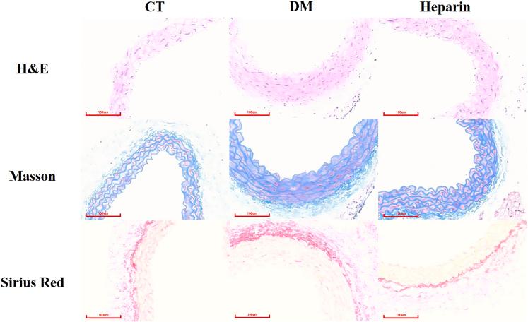 https://cdn.ncbi.nlm.nih.gov/pmc/blobs/be76/11530820/72c188954780/gr6.jpg