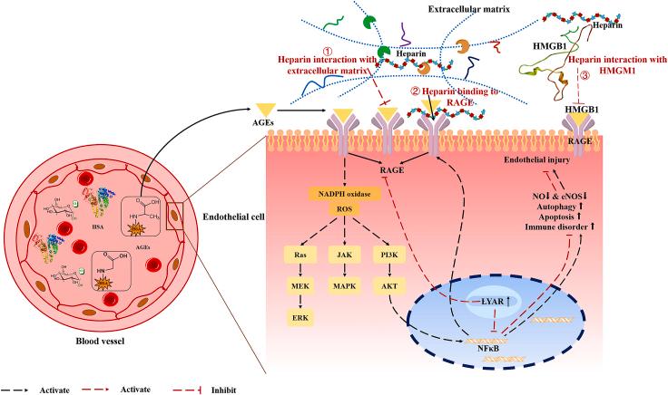 https://cdn.ncbi.nlm.nih.gov/pmc/blobs/be76/11530820/7bfea53e15ff/gr8.jpg
