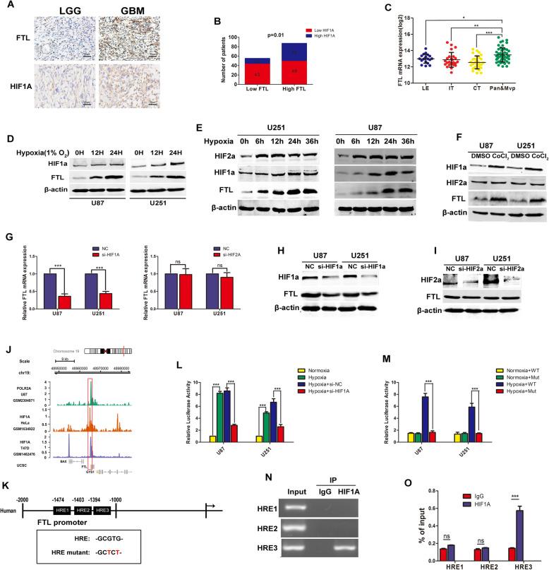 https://cdn.ncbi.nlm.nih.gov/pmc/blobs/be76/7364815/8b228fc78871/13046_2020_1641_Fig2_HTML.jpg