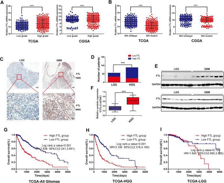 https://cdn.ncbi.nlm.nih.gov/pmc/blobs/be76/7364815/a613eb6d799f/13046_2020_1641_Fig1_HTML.jpg