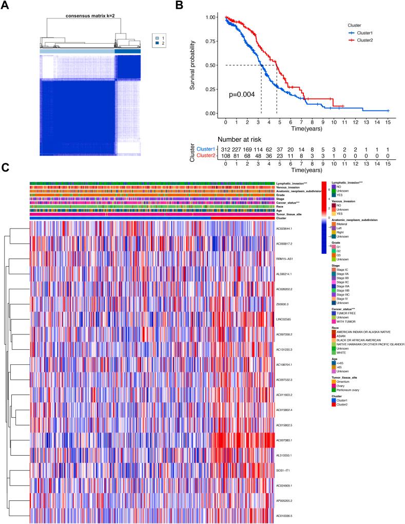 https://cdn.ncbi.nlm.nih.gov/pmc/blobs/be77/11336372/43c77cf2a2c9/gr5.jpg