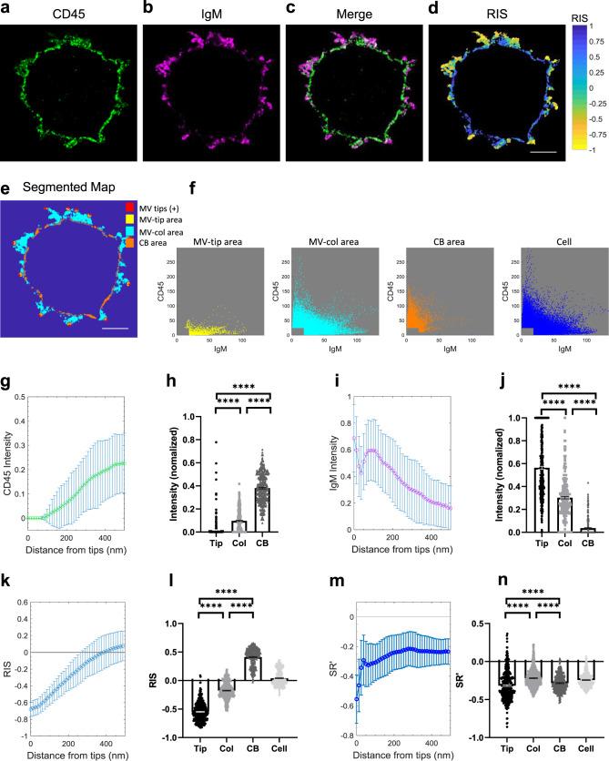 https://cdn.ncbi.nlm.nih.gov/pmc/blobs/be77/8222282/2fcad280cd23/41467_2021_23792_Fig3_HTML.jpg