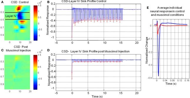 https://cdn.ncbi.nlm.nih.gov/pmc/blobs/be79/2927268/0380af05e1a3/fnene-02-00015-g003.jpg