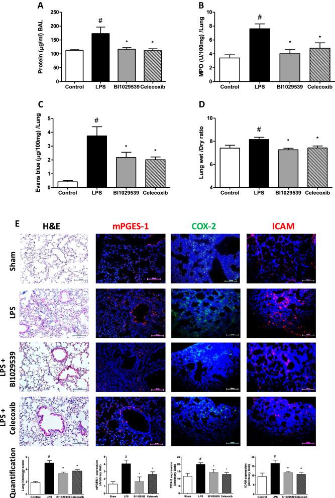 https://cdn.ncbi.nlm.nih.gov/pmc/blobs/be7a/8351447/3146604ce808/12967_2021_3016_Fig2_HTML.jpg