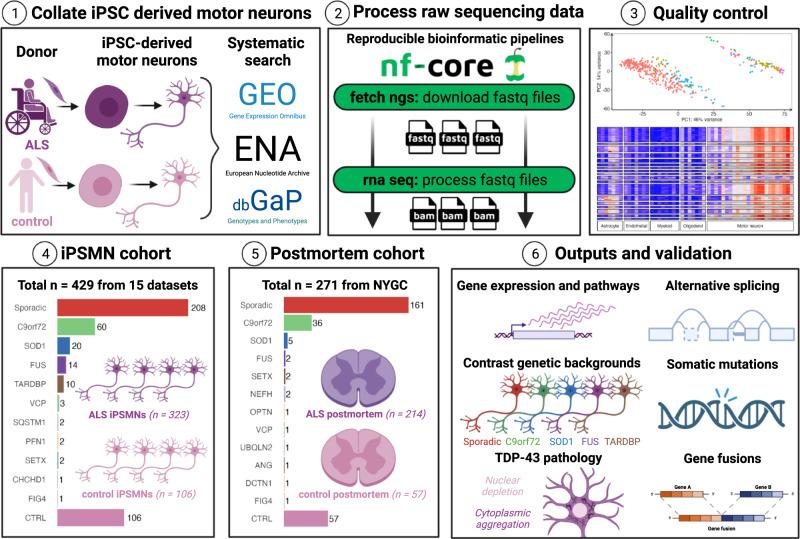 https://cdn.ncbi.nlm.nih.gov/pmc/blobs/be7c/10119258/599719e45d9a/41467_2023_37630_Fig1_HTML.jpg