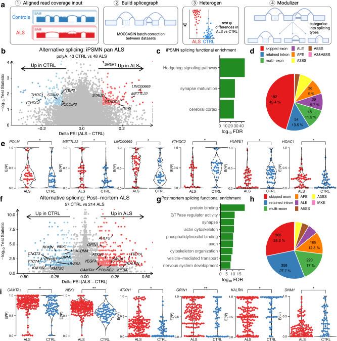 https://cdn.ncbi.nlm.nih.gov/pmc/blobs/be7c/10119258/a00ef34cdf6b/41467_2023_37630_Fig5_HTML.jpg