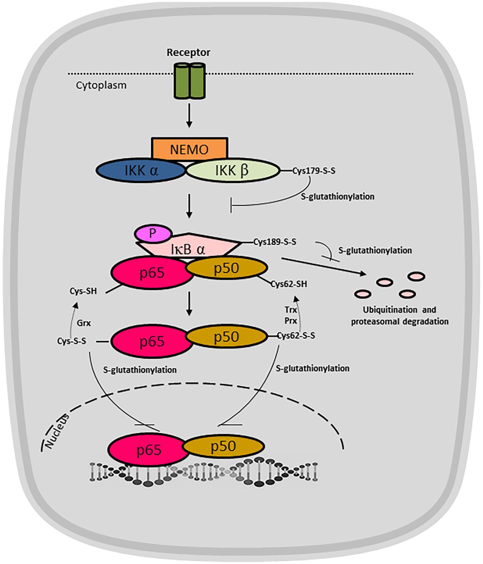 https://cdn.ncbi.nlm.nih.gov/pmc/blobs/be7d/10591792/68e7ce727f48/nihms-1934806-f0002.jpg