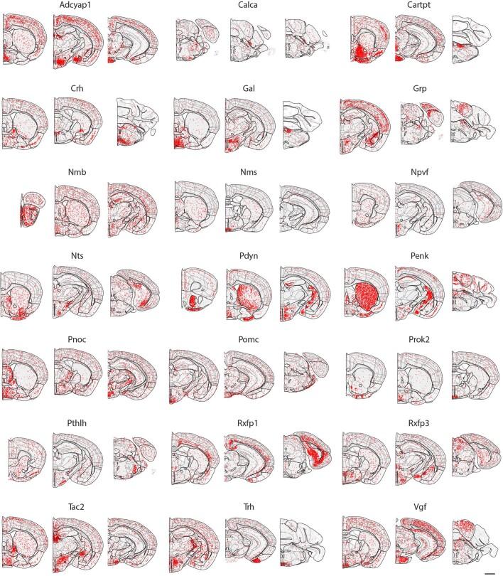https://cdn.ncbi.nlm.nih.gov/pmc/blobs/be7e/10719103/19f50b66573e/41586_2023_6808_Fig11_ESM.jpg