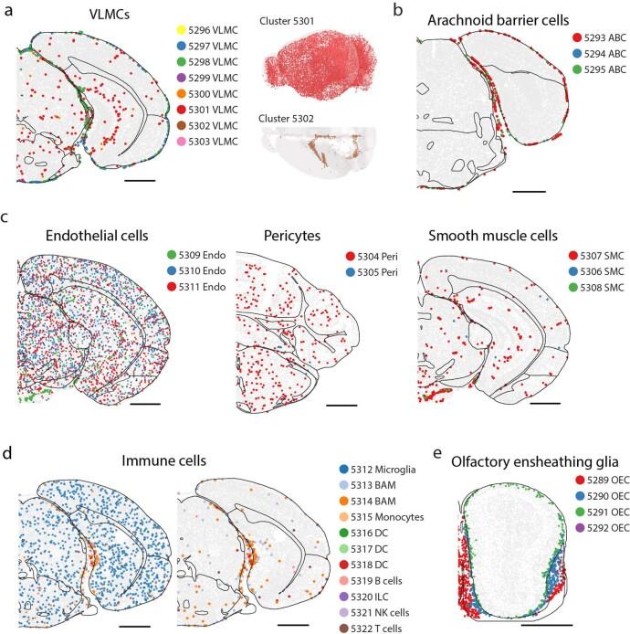 https://cdn.ncbi.nlm.nih.gov/pmc/blobs/be7e/10719103/2b59c5591f4b/41586_2023_6808_Fig12_ESM.jpg