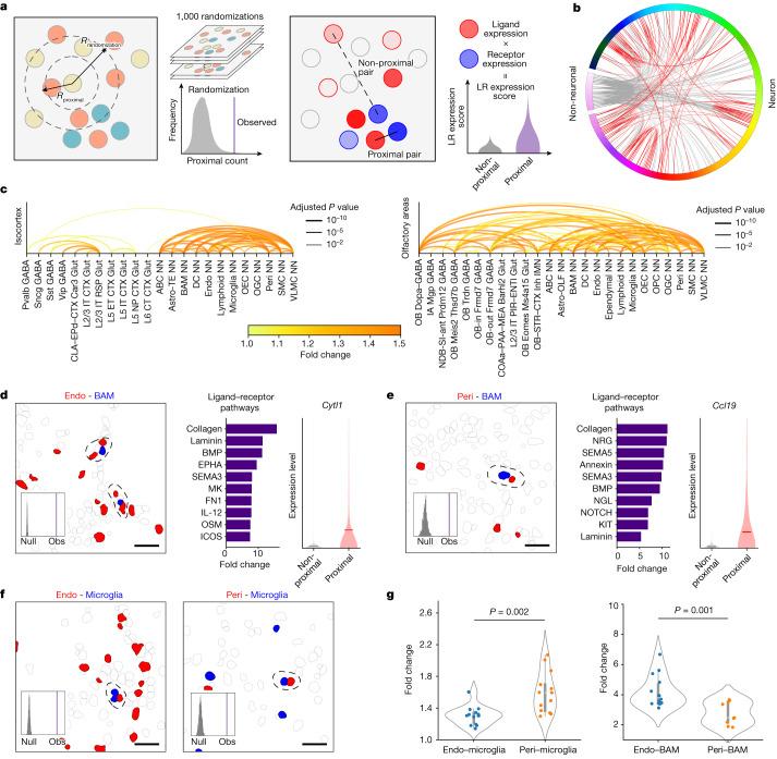 https://cdn.ncbi.nlm.nih.gov/pmc/blobs/be7e/10719103/2c4b566094fe/41586_2023_6808_Fig6_HTML.jpg