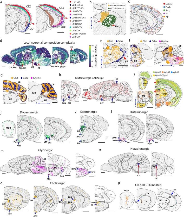 https://cdn.ncbi.nlm.nih.gov/pmc/blobs/be7e/10719103/4b8e52562e05/41586_2023_6808_Fig10_ESM.jpg