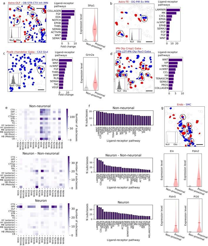 https://cdn.ncbi.nlm.nih.gov/pmc/blobs/be7e/10719103/9a661c99b4f3/41586_2023_6808_Fig16_ESM.jpg