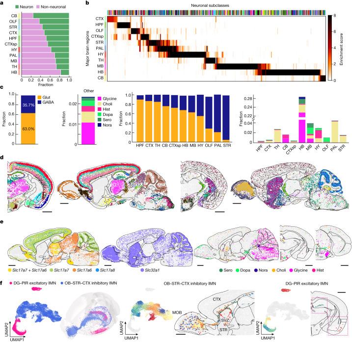 https://cdn.ncbi.nlm.nih.gov/pmc/blobs/be7e/10719103/a40f4dec3c60/41586_2023_6808_Fig2_HTML.jpg