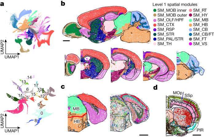 https://cdn.ncbi.nlm.nih.gov/pmc/blobs/be7e/10719103/bfd1084daeae/41586_2023_6808_Fig4_HTML.jpg