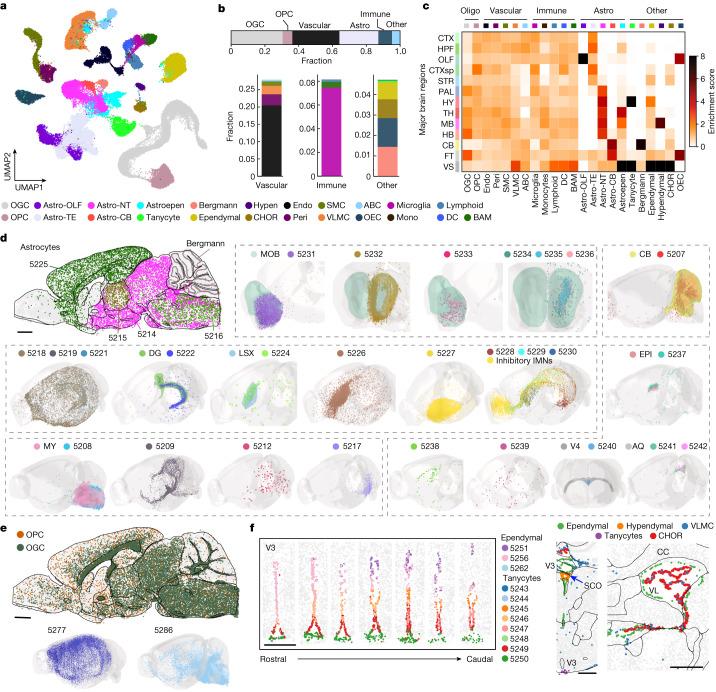 https://cdn.ncbi.nlm.nih.gov/pmc/blobs/be7e/10719103/f75e3d6d159e/41586_2023_6808_Fig3_HTML.jpg