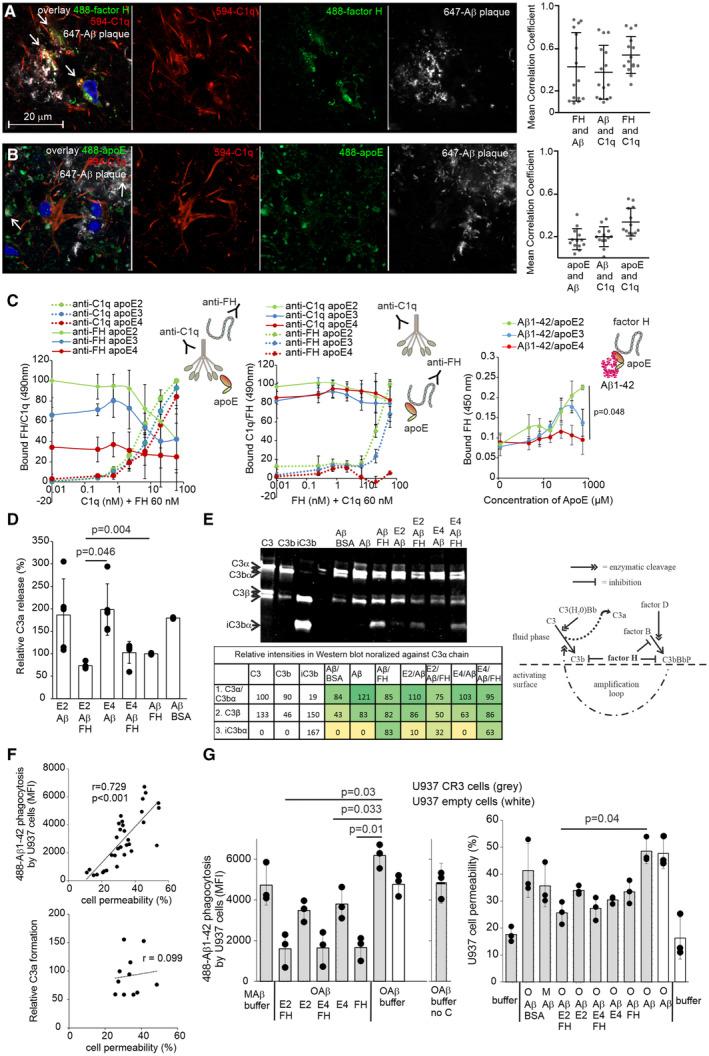 https://cdn.ncbi.nlm.nih.gov/pmc/blobs/be80/10328077/05ca354aad79/EMBR-24-e56467-g012.jpg