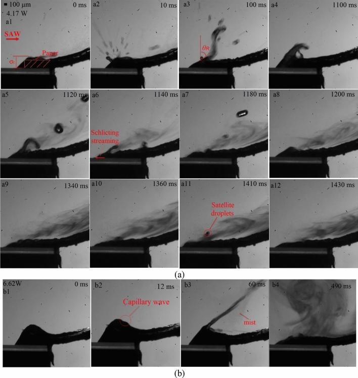 https://cdn.ncbi.nlm.nih.gov/pmc/blobs/be82/9106708/e6559bfe263d/41598_2022_11132_Fig5_HTML.jpg