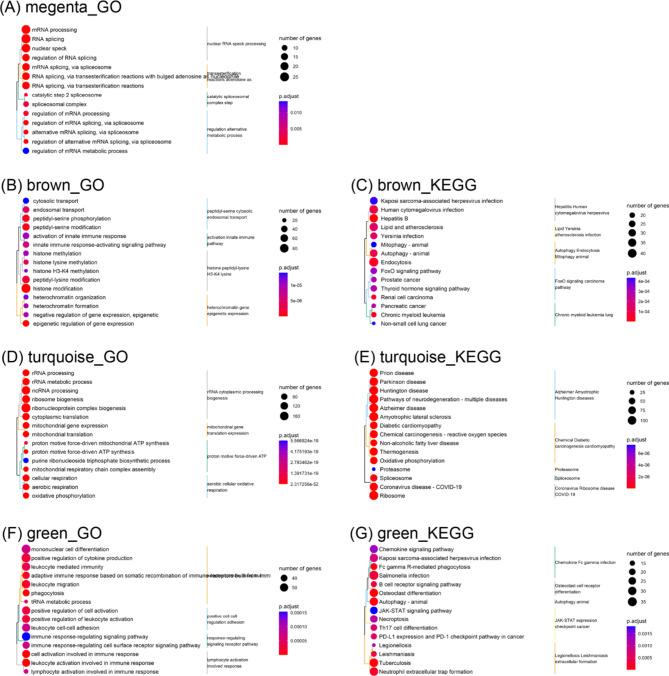 https://cdn.ncbi.nlm.nih.gov/pmc/blobs/be83/11706936/a8fc8eaaafe9/41598_2025_85431_Fig2_HTML.jpg
