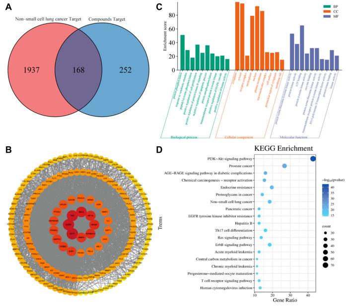 https://cdn.ncbi.nlm.nih.gov/pmc/blobs/be84/11765843/3255c5b9703f/ijms-26-00629-g001.jpg