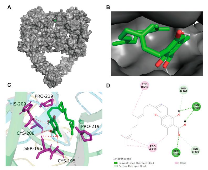 https://cdn.ncbi.nlm.nih.gov/pmc/blobs/be84/11765843/ef4871963ed1/ijms-26-00629-g003.jpg