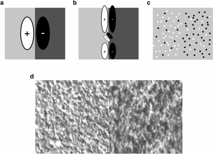 https://cdn.ncbi.nlm.nih.gov/pmc/blobs/be86/8115076/a4213d7974eb/41598_2021_89277_Fig1_HTML.jpg