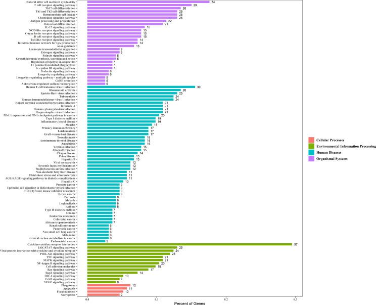 https://cdn.ncbi.nlm.nih.gov/pmc/blobs/be87/8029986/d0093b7b9b75/fonc-11-616530-g004.jpg