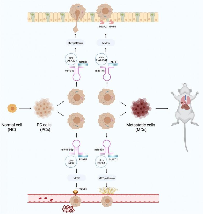 https://cdn.ncbi.nlm.nih.gov/pmc/blobs/be8a/9210669/96ac580feb19/13578_2022_833_Fig4_HTML.jpg