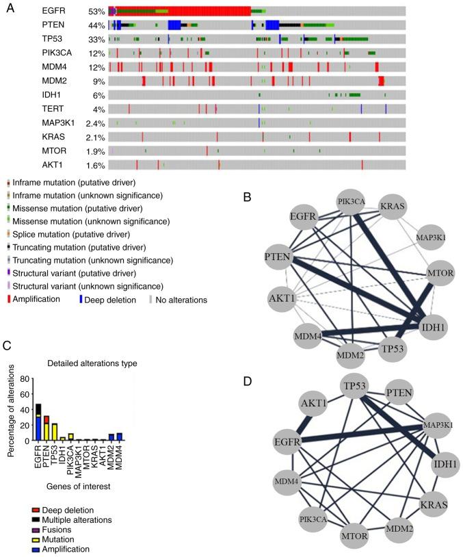 https://cdn.ncbi.nlm.nih.gov/pmc/blobs/be8c/11966088/0286038ccf53/ol-29-05-14989-g00.jpg