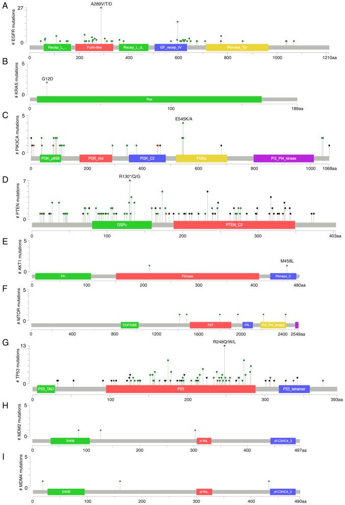 https://cdn.ncbi.nlm.nih.gov/pmc/blobs/be8c/11966088/9e4f48a1bf3e/ol-29-05-14989-g01.jpg