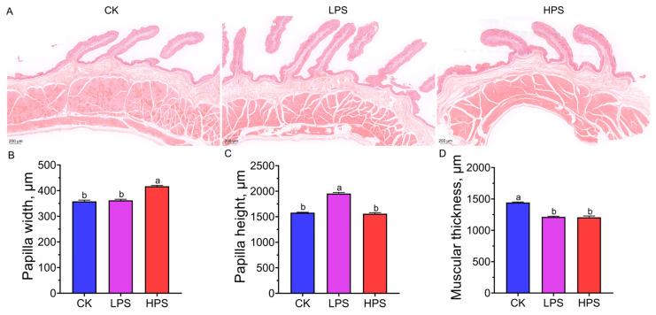 https://cdn.ncbi.nlm.nih.gov/pmc/blobs/be8e/11596069/1ce17c31939f/microorganisms-12-02242-g001.jpg