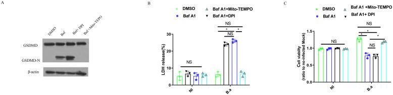 https://cdn.ncbi.nlm.nih.gov/pmc/blobs/be8f/11532147/1dea7087113f/fimmu-15-1466520-g004.jpg