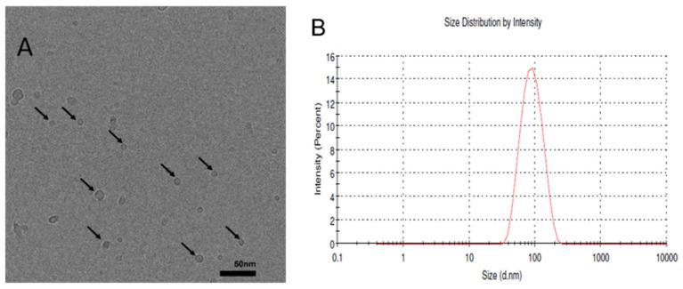 https://cdn.ncbi.nlm.nih.gov/pmc/blobs/be8f/8125214/bd94a25855f7/molecules-26-02591-g004.jpg