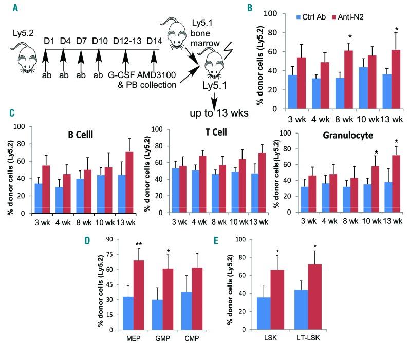 https://cdn.ncbi.nlm.nih.gov/pmc/blobs/be90/5622863/221da81bb20d/1021785.fig4.jpg