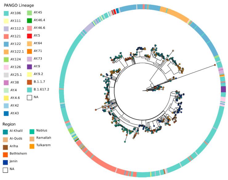 https://cdn.ncbi.nlm.nih.gov/pmc/blobs/be91/11206313/173db4c9c89f/pathogens-13-00521-g002.jpg