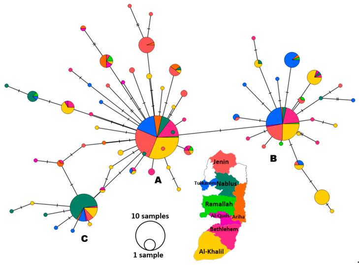 https://cdn.ncbi.nlm.nih.gov/pmc/blobs/be91/11206313/96ee6b0969c4/pathogens-13-00521-g004.jpg