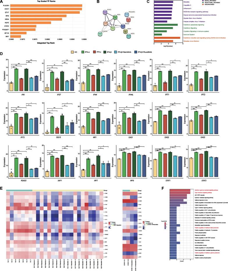 https://cdn.ncbi.nlm.nih.gov/pmc/blobs/be95/11167821/ce64c54a4010/10020_2024_851_Fig3_HTML.jpg